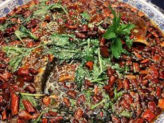 杨记招牌鱼-杨记隆府(时代天街店)