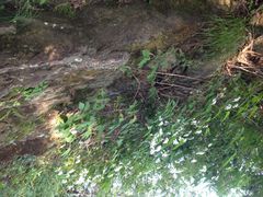 iphone_upload_pic-帽儿山风景区