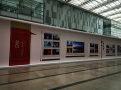 -悦融琥珀·京鲁菜·海味珍品(西单店)