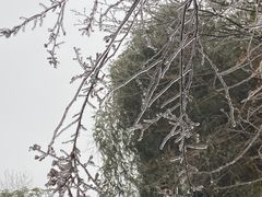 -长沙黑麋峰国家森林公园