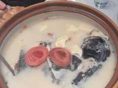 -全乐鱼馆·淳牌有机鱼直营店