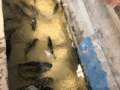 -姥家大锅台水库渔家
