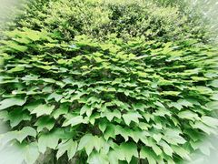 -宁波市保国寺古建筑博物馆