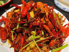 -京悦南门涮羊肉·羊蝎子火锅(田林路店)