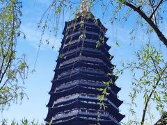 -红梅公园