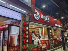 -海丝金凤(金鱼店)