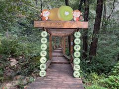 -大岭沟猕猴桃谷风景区