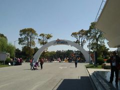 -上海鲜花港