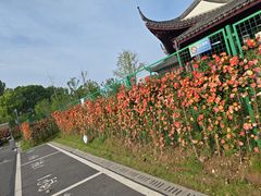 -葛仙湖公园