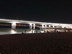 -演武大桥观景平台