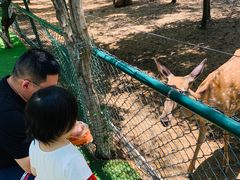 -大连铭湖国际观光牧场