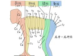 -UP健身私教馆(海岸城店)