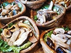 -滇野云南野生菌餐厅(陕西南路店)