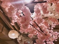 -善水温泉·汗蒸·SPA·生活会馆(桑田路店)
