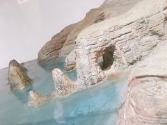 -中国地质博物馆