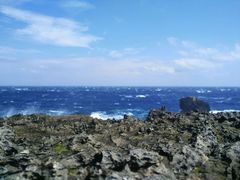 -龙坑生态保护区