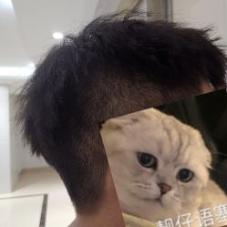 -镁连社·美联社