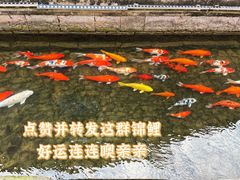 -前童古镇