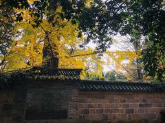 -青岛崂山太清宫