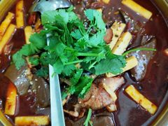 毛血旺-熙春园餐厅