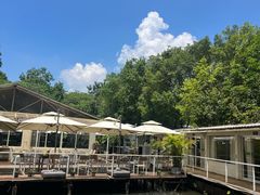 -芭厘·农庄老字号.电饭煲五指毛桃焗鸡