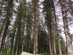 -硗碛藏寨·神木垒景区