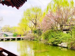 -济南大明湖景区