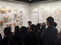 -四川大学博物馆