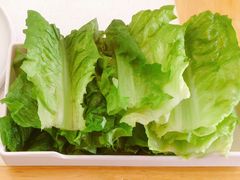 -执牛耳涮烤牛排火锅(伊河路店)