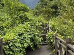 -汕尾莲花山温泉度假村