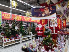 -大润发(张江店)