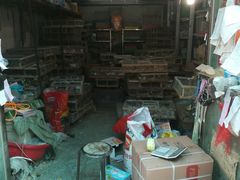 -中环花鸟鱼虫市场