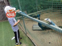 -萌宠亲子动物乐园(槐房万达店)