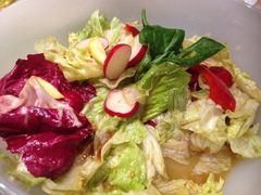 蔬菜色拉-西贝莜面村(上海百联西郊店)