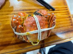 阳澄湖大闸蟹-蟹天蟹地农家菜·阳澄湖大闸蟹(浅水湾店)