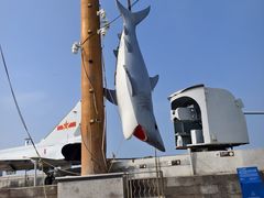 -中华人民共和国水准零点