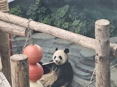 -大连森林动物园