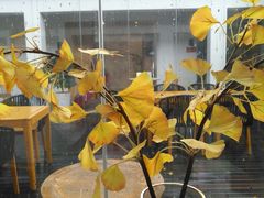 -自如ZSPACE四合院艺术餐厅