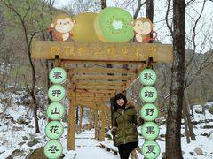 -大岭沟猕猴桃谷风景区