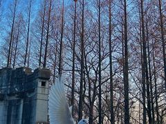 -音乐台