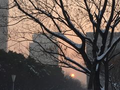 -南京奥林匹克体育中心-体育馆