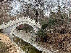 -菖蒲河公园