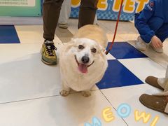 -凯德广场(西城店)