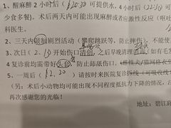 -艾吉宠物医院·疑难杂症转诊中心·猫友好(碧江路院)