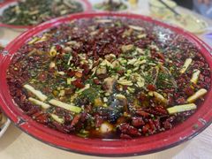 -东吴霸王兔(松青路店)