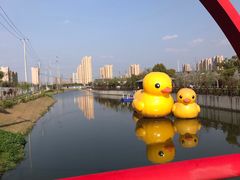 -菊园百果园