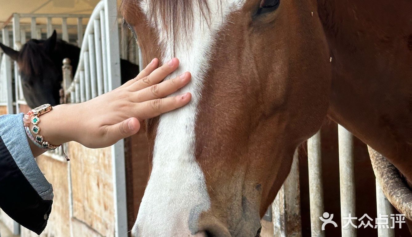 不愧是藏在山里的团建好去处啊[OK]