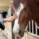 不愧是藏在山里的团建好去处啊[OK]