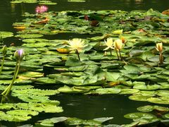 -国家植物园南园