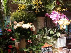 -春暖花开(西溪店)